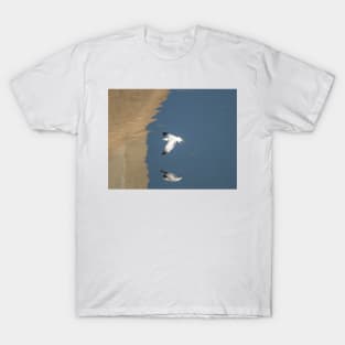 Ring-billed Gull In Flight T-Shirt